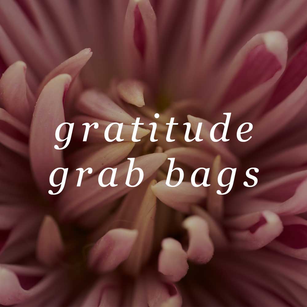 Gratitude Grab Bag - Apparel Top
